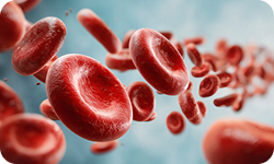 성모에스케이마취통증의학과의원 혈류 개선 이미지